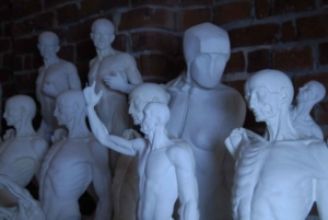 Muskelmaenner Anatomische Sammlung